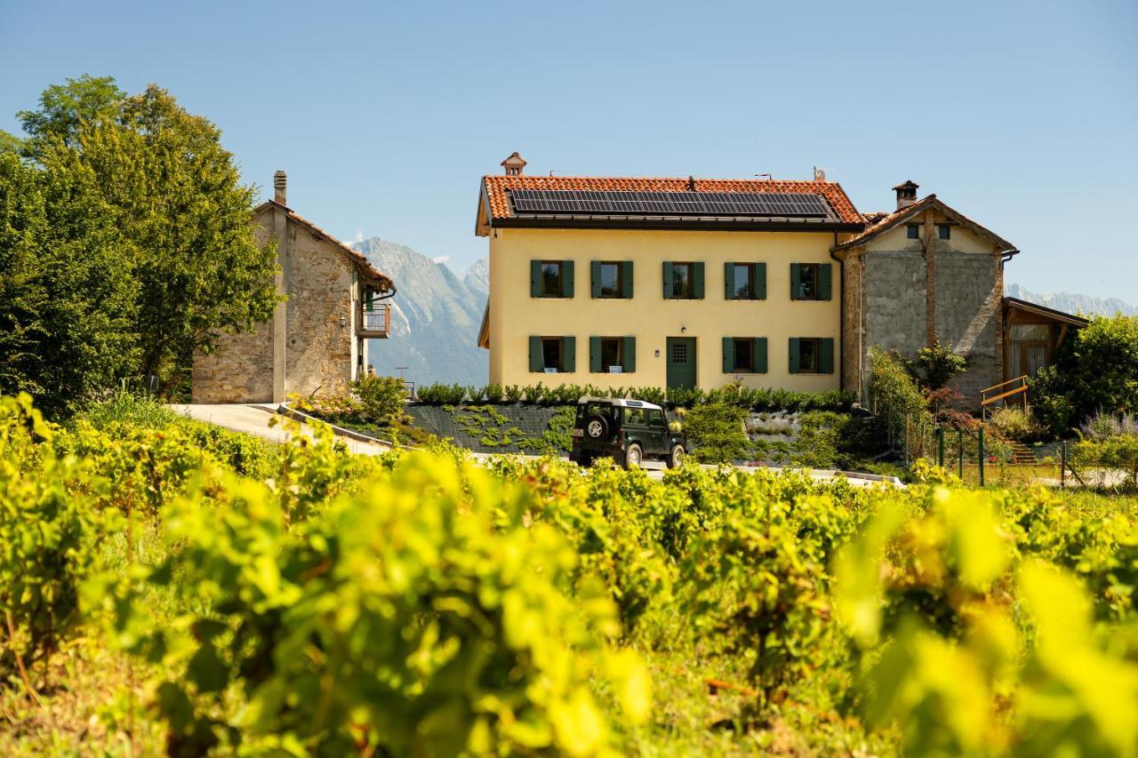 B&B Le Zucche Belluno Esterno foto